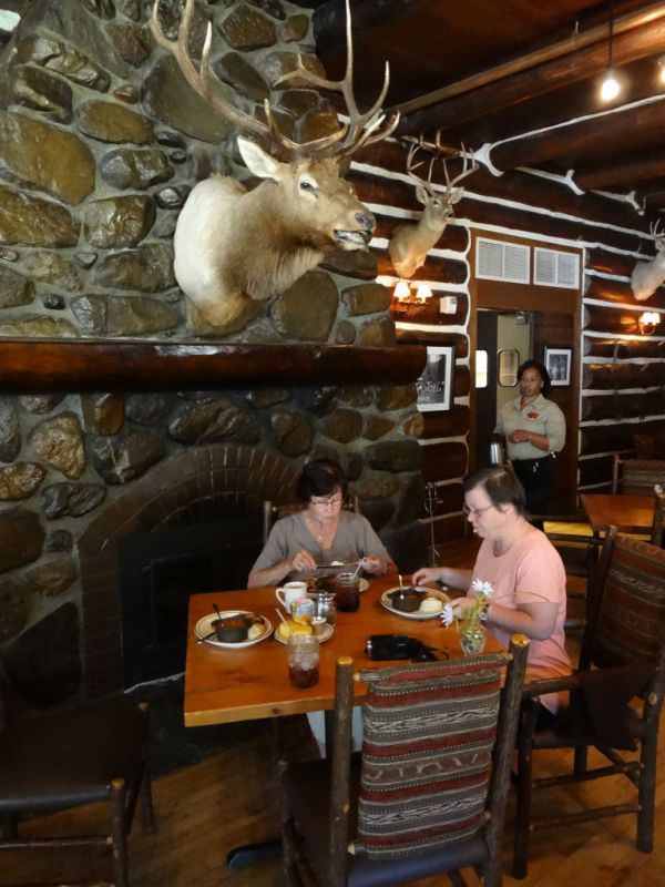 Mittag im "Blue Bell Lodge Restaurant" (Büffelsteak) im Custer State Park
